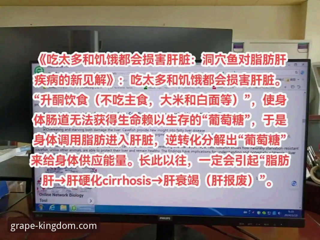 5个关键维度评测：新葡萄娱乐APP官方下载安全性深度分析