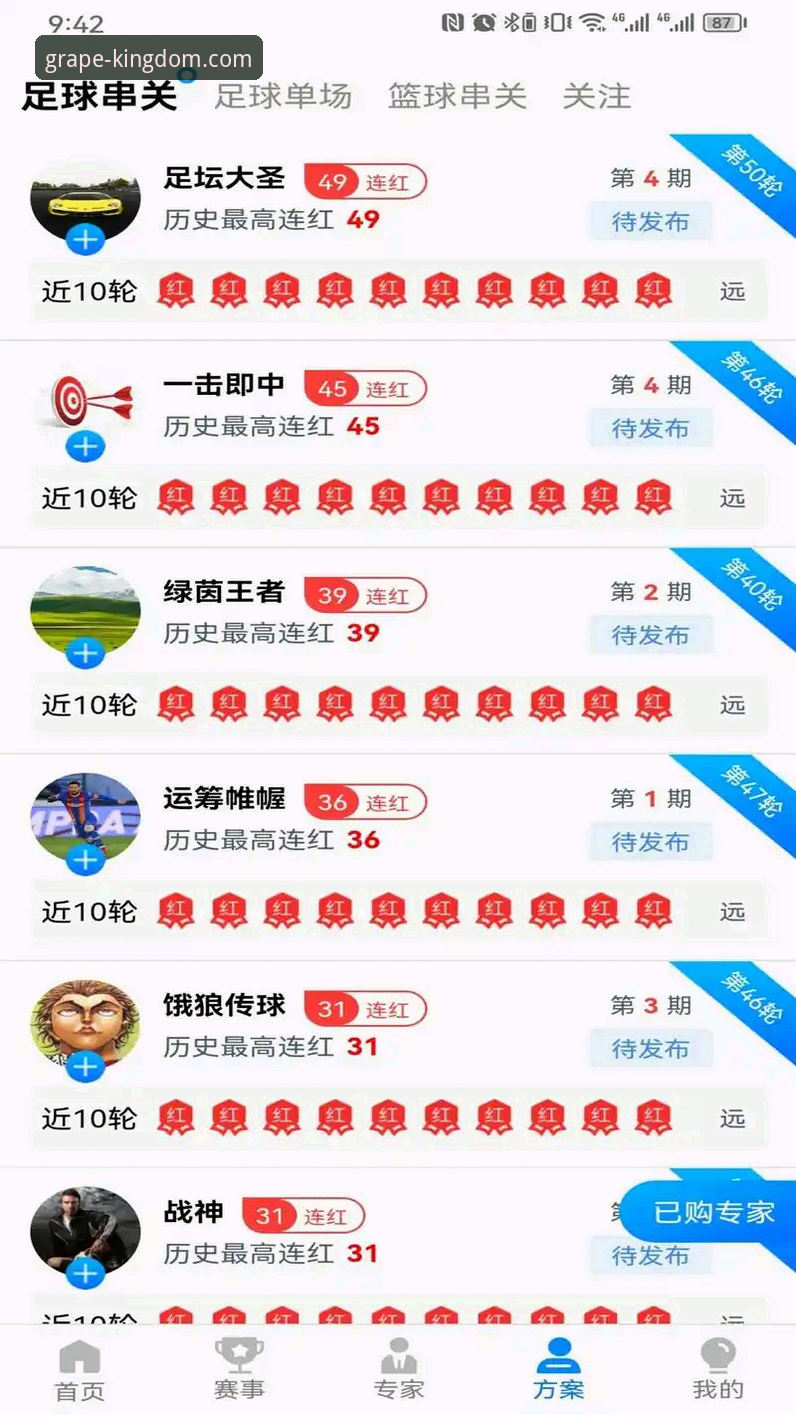 新葡萄棋牌平台技术支持深度分析：从下载到体验的全面解析